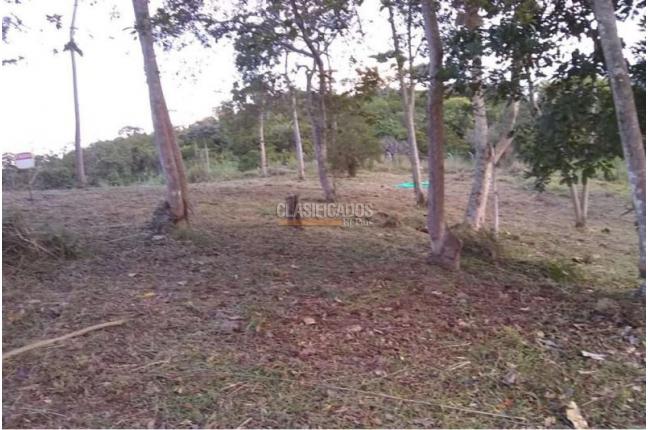 Lotes, Venta, Jamundí - $220.000.000