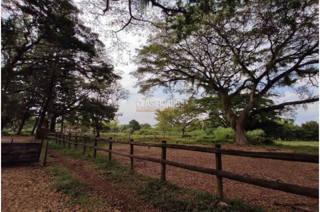 Casas, Venta, Jamundí - $70.000.000