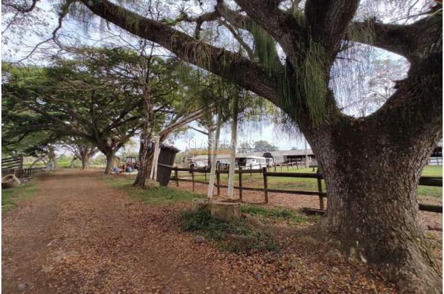 Casas, Venta, Jamundí - $70.000.000