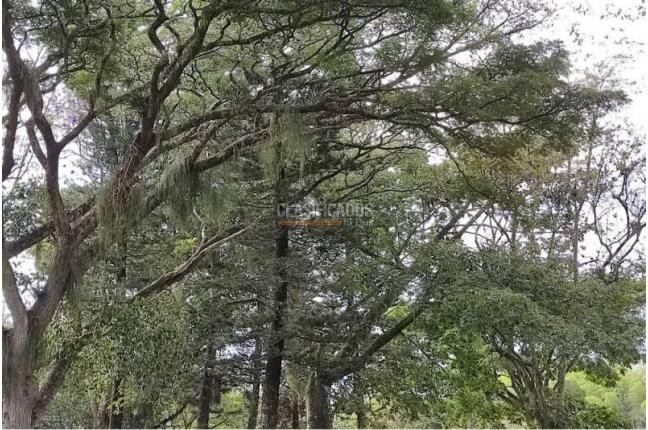 Casas, Venta, Jamundí - $70.000.000