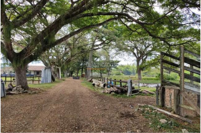 Casas, Venta, Jamundí - $70.000.000