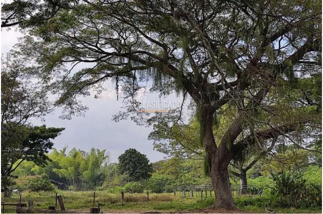 Casas, Venta, Jamundí - $70.000.000