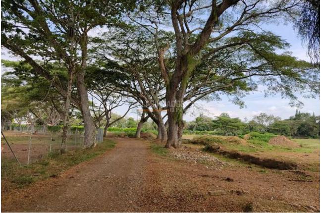 Casas, Venta, Jamundí - $70.000.000