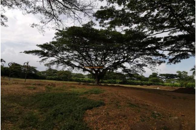 Casas, Venta, Jamundí - $70.000.000