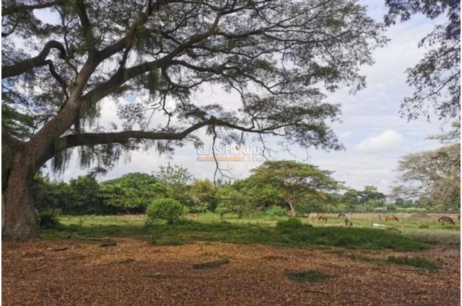 Casas, Venta, Jamundí - $70.000.000