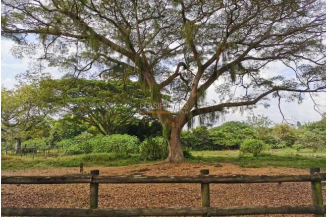 Casas, Venta, Jamundí - $70.000.000