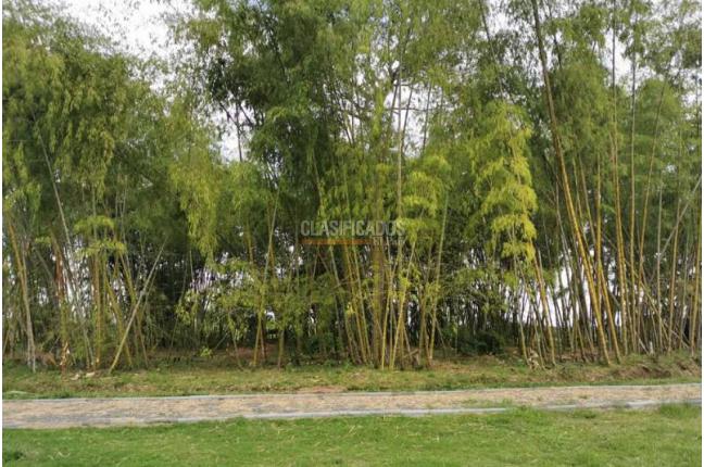 Lotes, Venta, Jamundí - $115.000.000