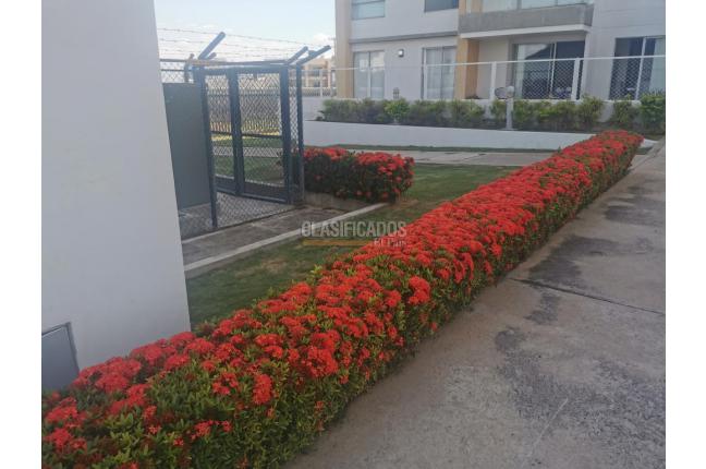 Apartamentos, Venta, Valledupar - $310.000.000
