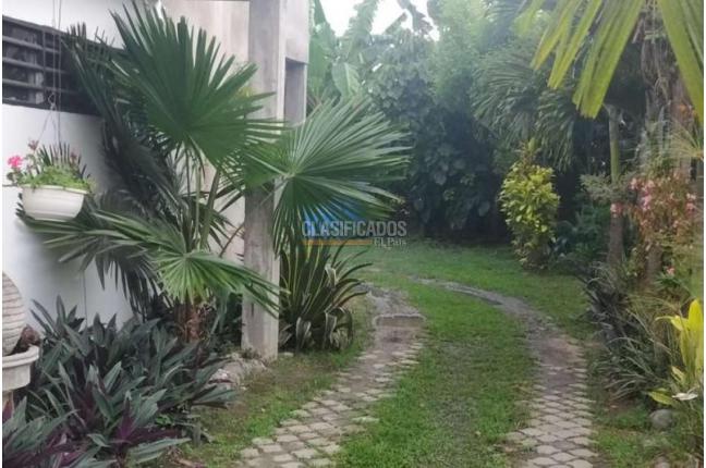 Casas, Venta, Palmira - $480.000.000