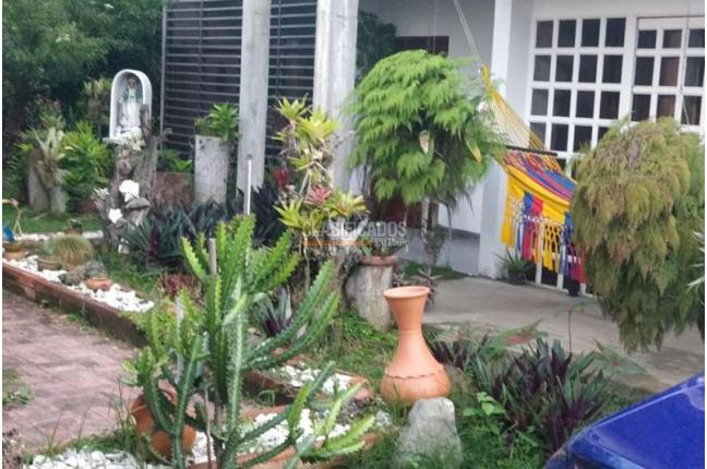 Casas, Venta, Palmira - $480.000.000