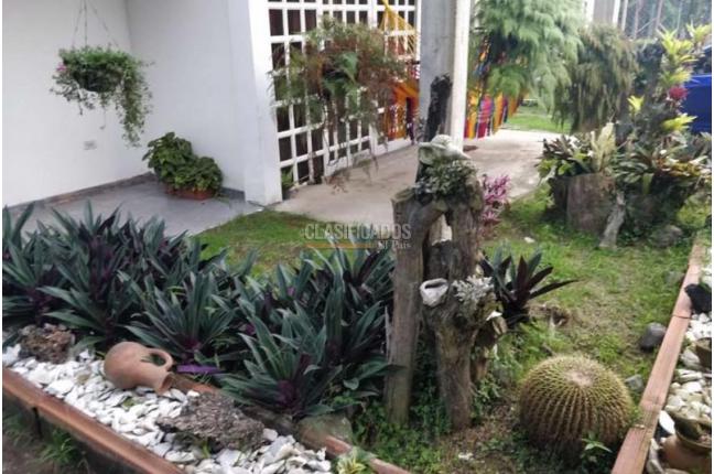 Casas, Venta, Palmira - $480.000.000