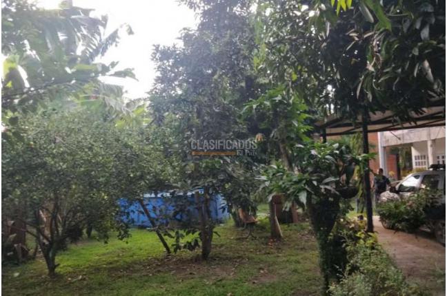 Casas, Venta, Palmira - $480.000.000