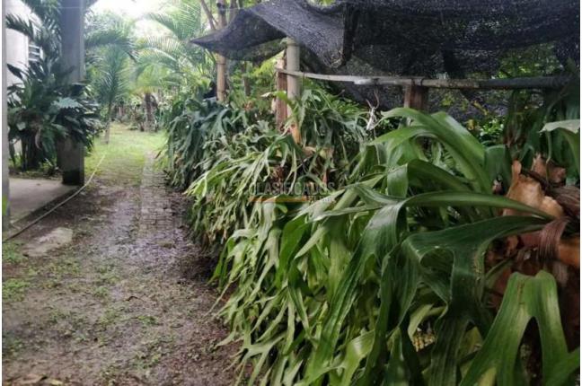 Casas, Venta, Palmira - $480.000.000