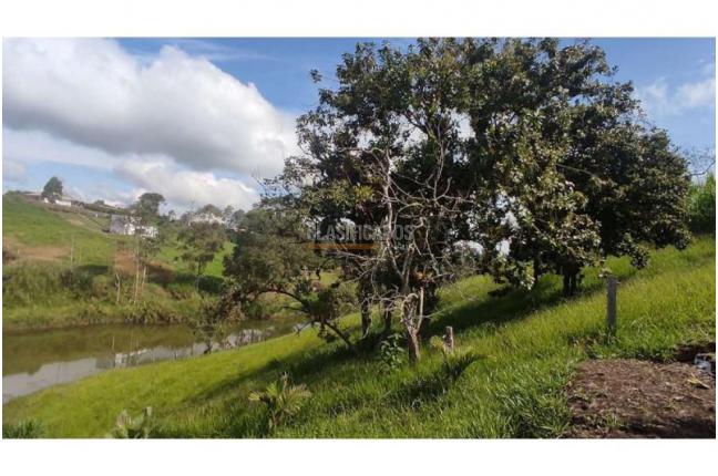 Lotes, Venta en Popayán