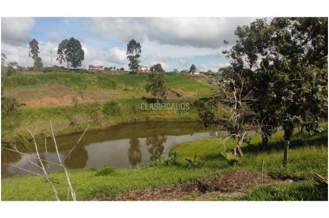Lotes, Venta, Popayán - $240.000.000