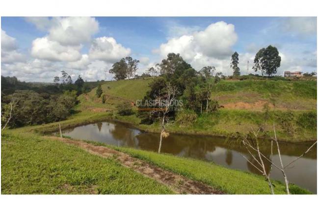 Lotes, Venta, Popayán - $240.000.000