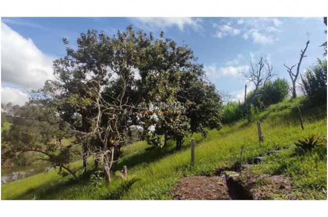 Lotes, Venta, Popayán - $240.000.000