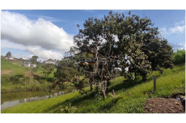 Lotes, Venta, Popayán - $240.000.000