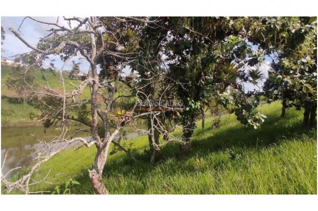 Lotes, Venta, Popayán - $240.000.000