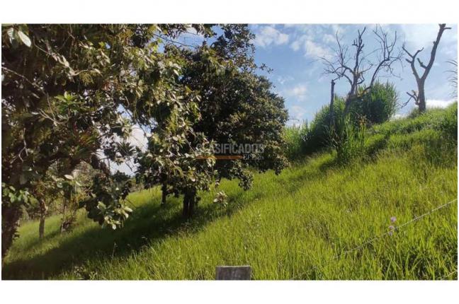 Lotes, Venta, Popayán - $240.000.000