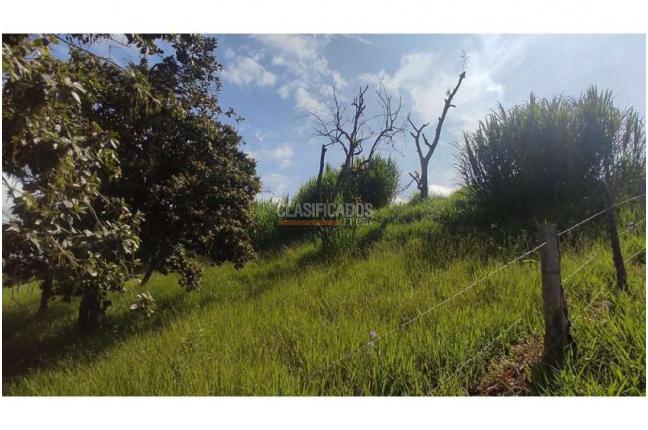 Lotes, Venta, Popayán - $240.000.000