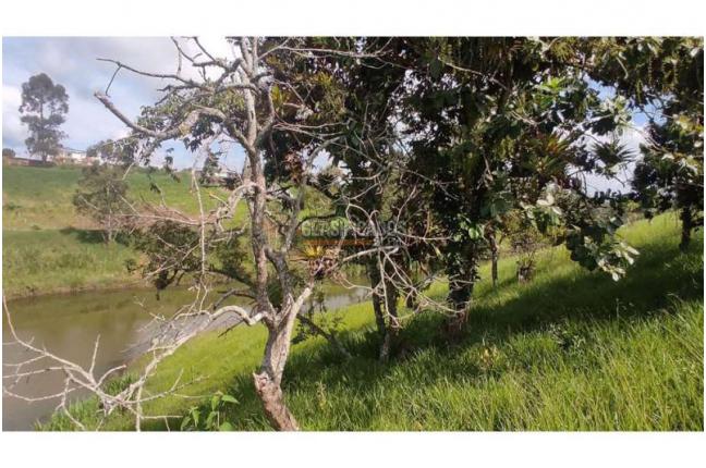 Lotes, Venta, Popayán - $240.000.000