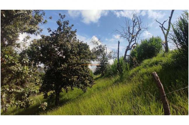 Lotes, Venta, Popayán - $240.000.000