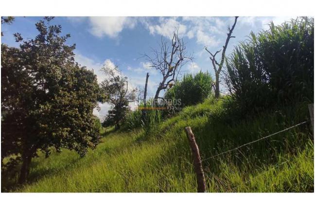 Lotes, Venta, Popayán - $240.000.000