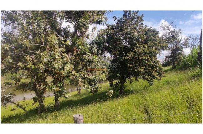 Lotes, Venta, Popayán - $240.000.000