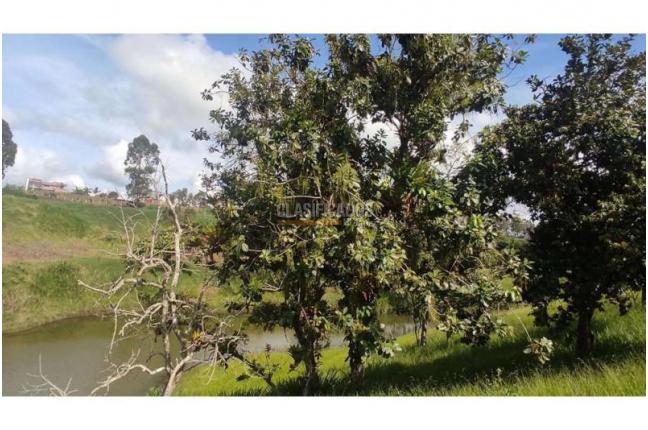 Lotes, Venta, Popayán - $240.000.000