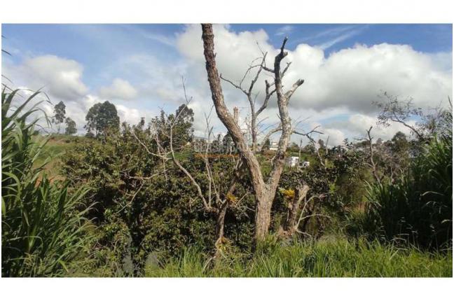 Lotes, Venta, Popayán - $240.000.000