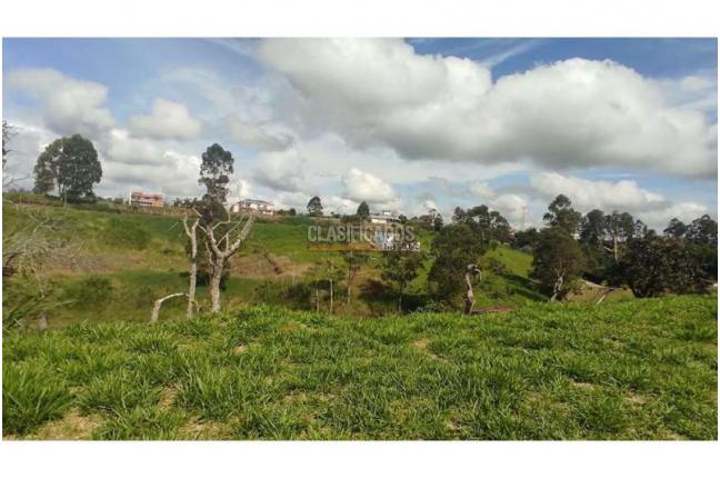 Lotes, Venta, Popayán - $240.000.000