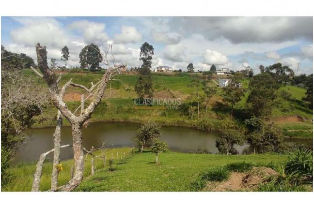 Lotes, Venta, Popayán - $240.000.000