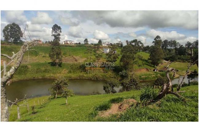 Lotes, Venta, Popayán - $240.000.000
