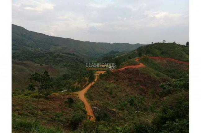 Lotes, Venta en Jamundí