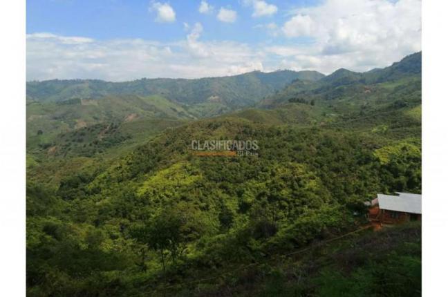 Lotes, Venta en Jamundí