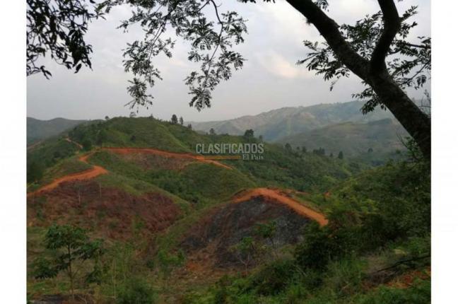 Lotes, Venta, Jamundí - $5.418.750