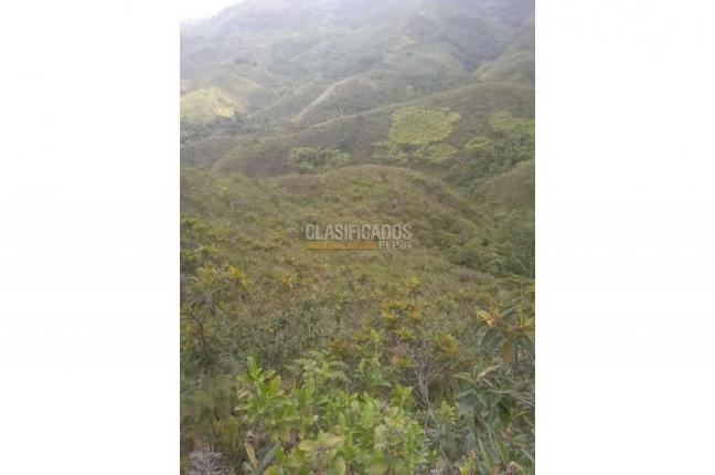 Lotes, Venta, Jamundí - $5.418.750