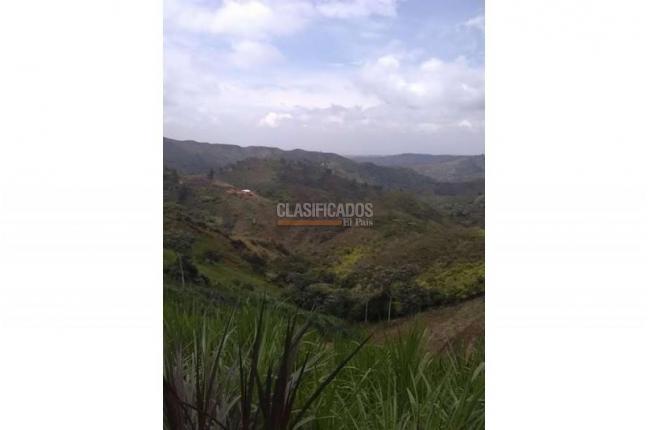 Lotes, Venta, Jamundí - $5.418.750