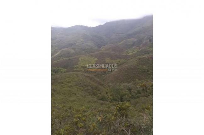 Lotes, Venta, Jamundí - $5.418.750