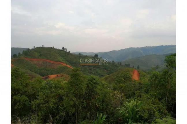 Lotes, Venta, Jamundí - $5.418.750