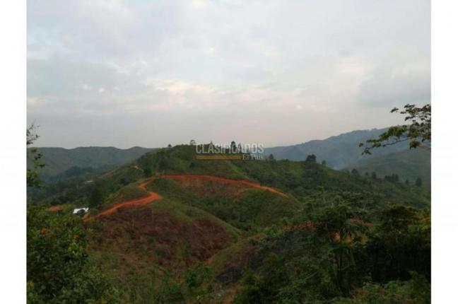 Lotes, Venta, Jamundí - $5.418.750