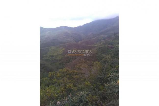 Lotes, Venta, Jamundí - $5.418.750