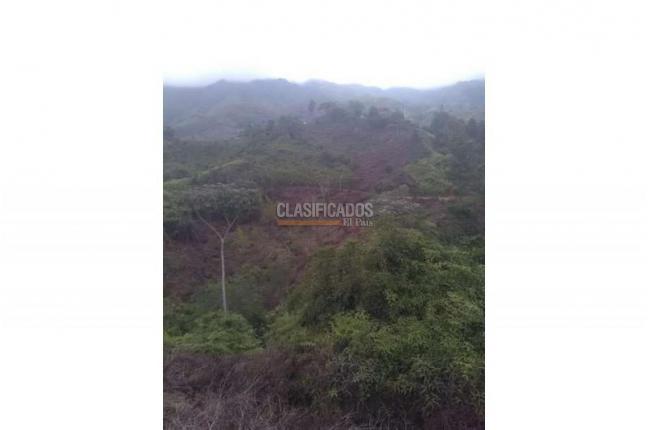 Lotes, Venta, Jamundí - $5.418.750