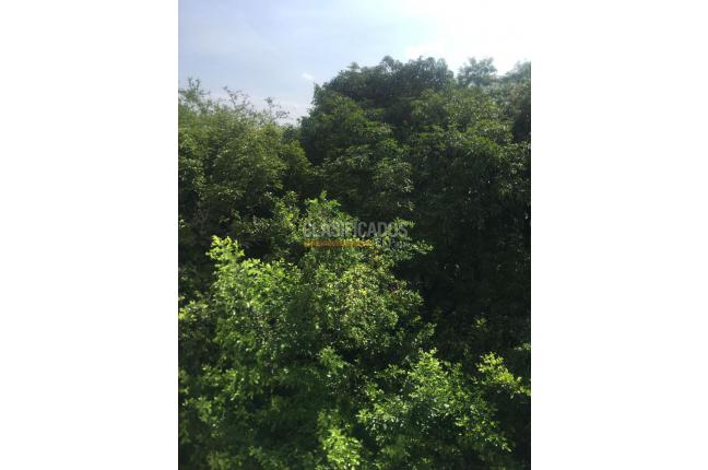 Apartamentos, Venta en Pance