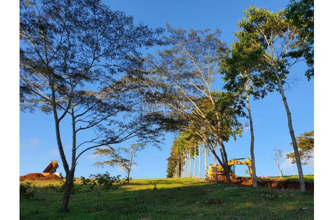 Lotes, Venta en Restrepo