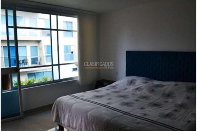 Casas, Venta, Ibagué - $689.000.000