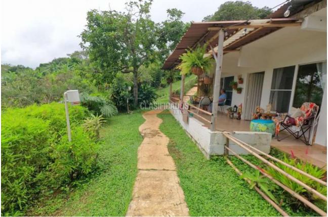 Fincas y Casas Campestres, Venta, Pance - $1.400.000.000