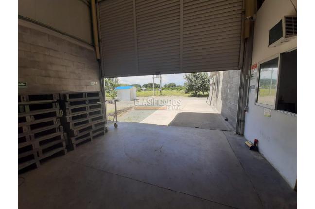 Locales y Bodegas, Alquiler, Palmira - $15.000.000