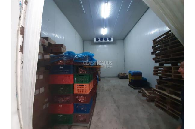 Locales y Bodegas, Alquiler, Palmira - $15.000.000